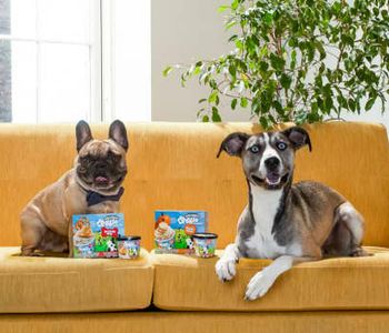 Ben & Jerry's just announced a new product line called Doggie Desserts, which is ice cream for dogs, made of dog-appropriate ingredients. Will you buy it for your pooch?